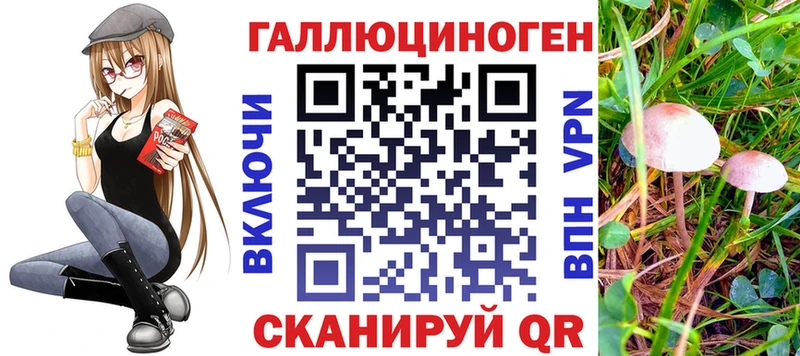 Псилоцибиновые грибы Psilocybine cubensis  Купить закладки  Темрюк 
